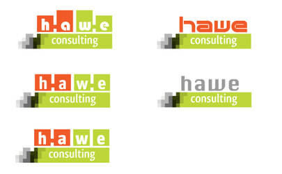 HWE Logo Concepts