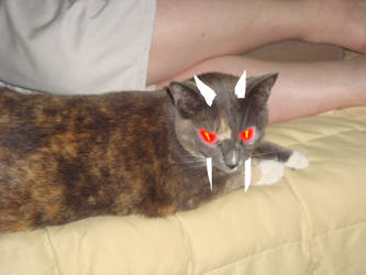 demon kitty... with horns