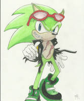 Scourge the Hedgehog