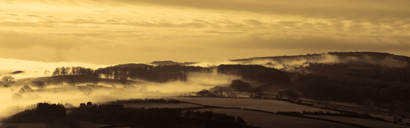 Mist over Lindale Hill