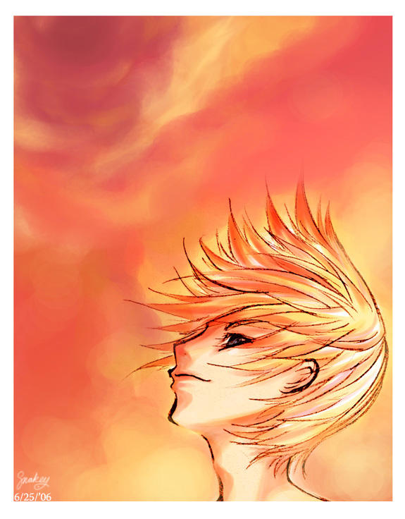 KH2 - Roxas: Boundless Freedom by SnakeyHoHo on DeviantArt