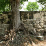 mayan Ruins stock 16