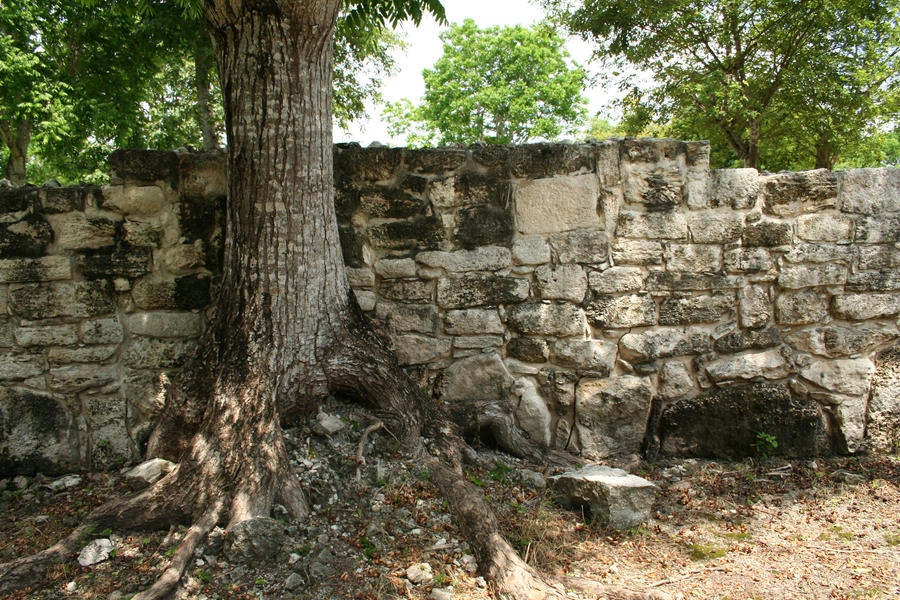 mayan Ruins stock 16