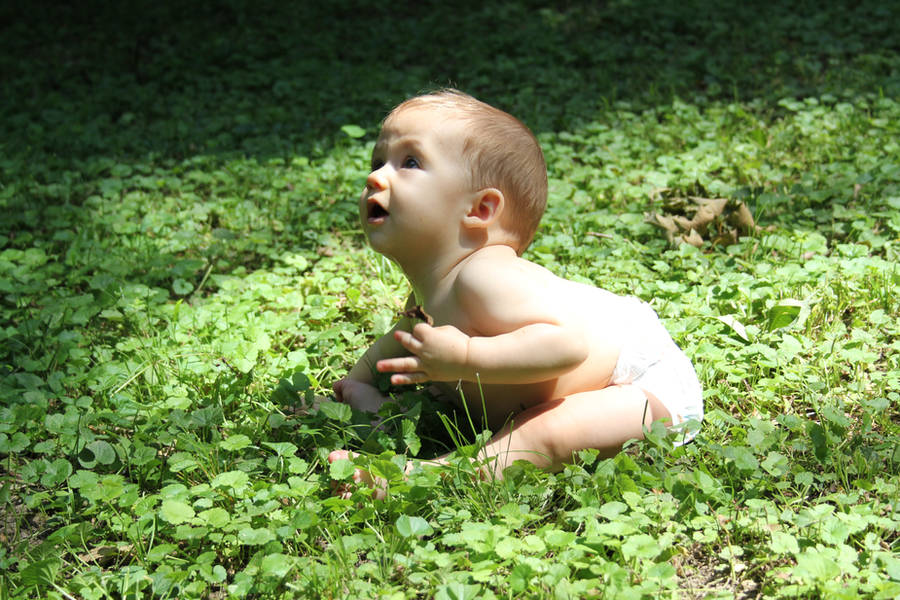 Aiden stock by hyannah77-stock