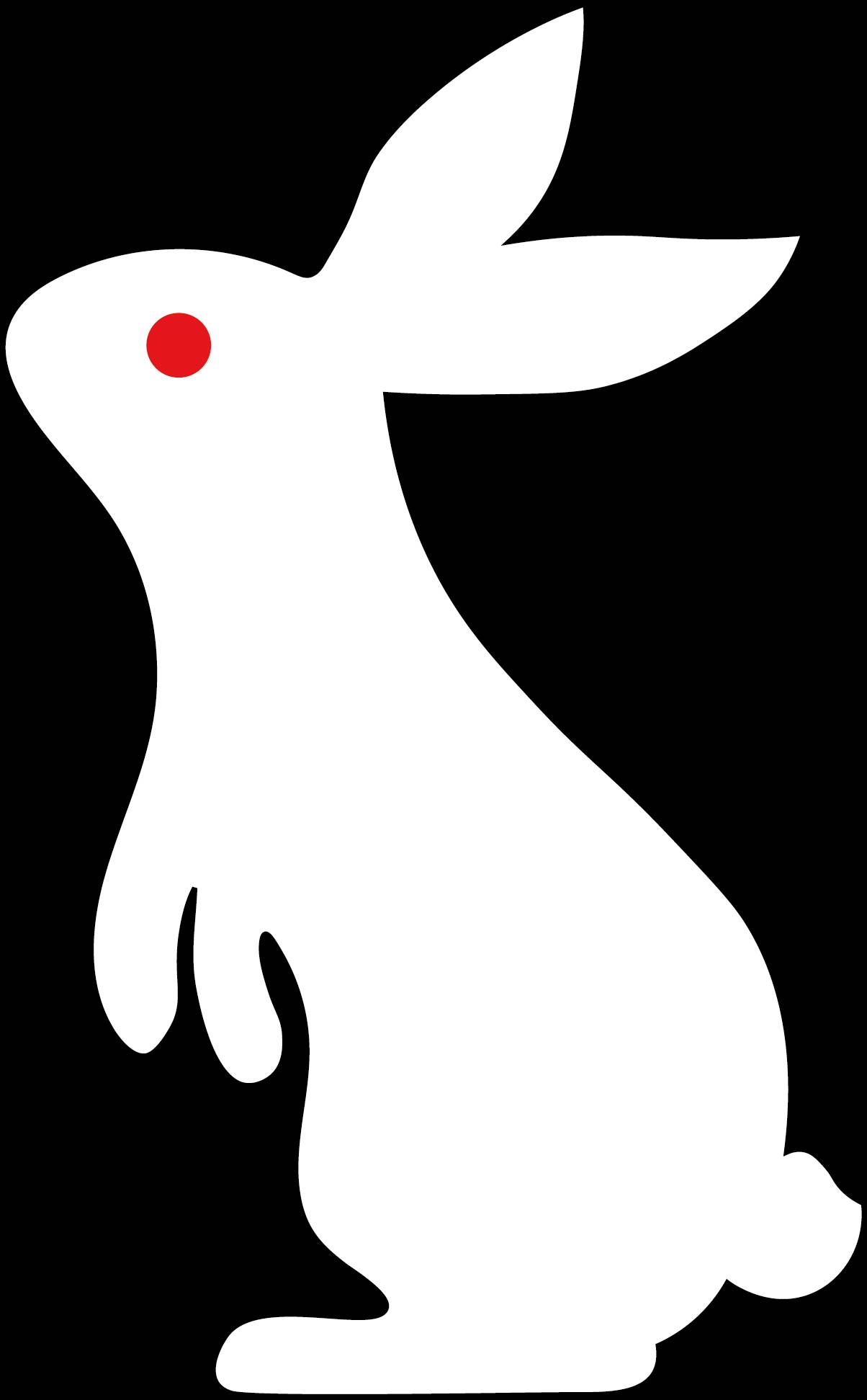 WWE White Rabbit Transparent by RatedRsny on DeviantArt