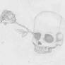 Skull Rose