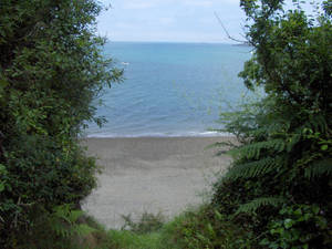 mysterious Path to the Sea