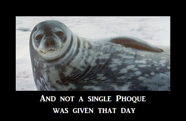 No Phoques Given By Lyricalautumnwind On Deviantart No Phoques Given By Lyricalautumnwind On Deviantart