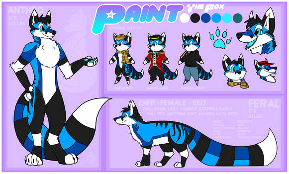 Paint Reference Sheet || 2017