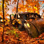 HDR Autumn Rust Bucket