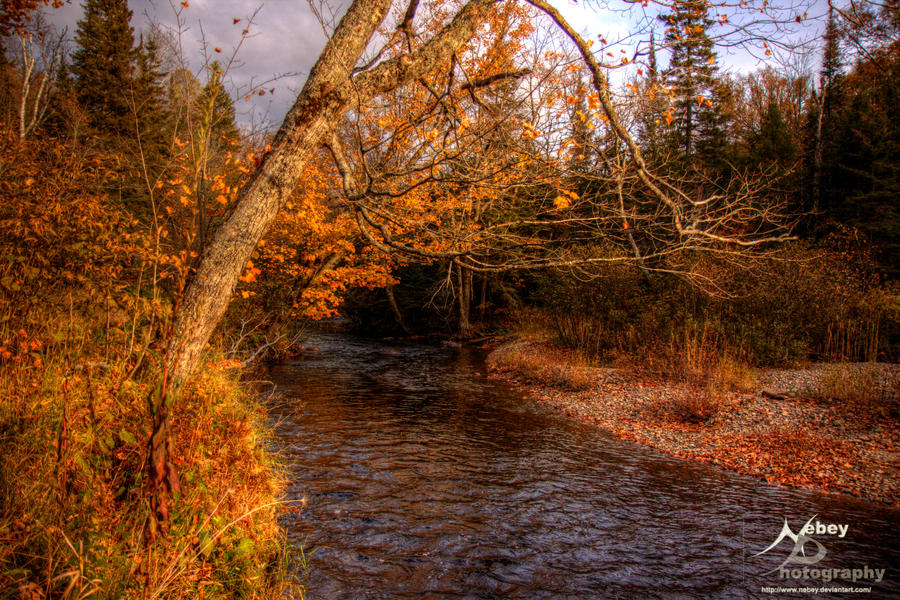 HDR Wishart Park