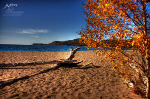 HDR Beach 2 by Nebey