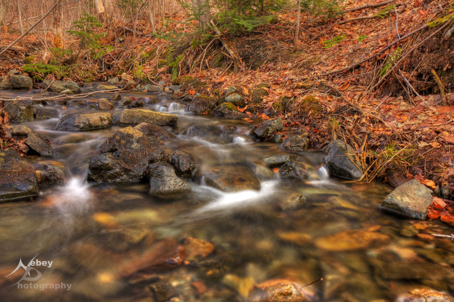 HDR Spring Stream