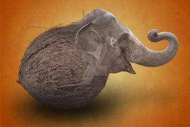 Coconut-Elephant by x-Emma-Billi-x