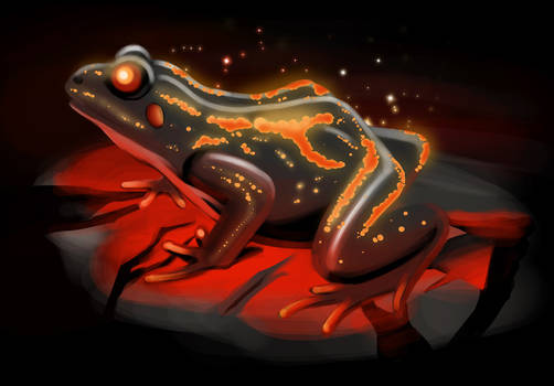 Fire frog