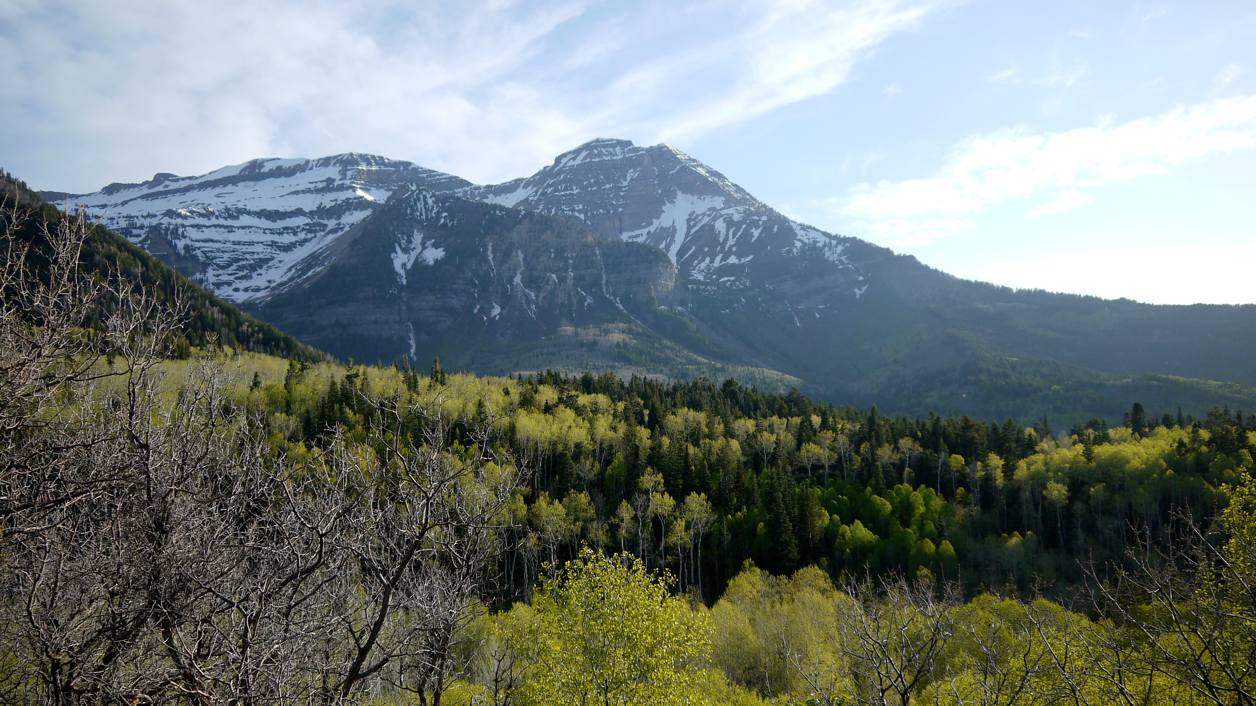 Alpine Loop Road II, Uinta National Forest, Utah