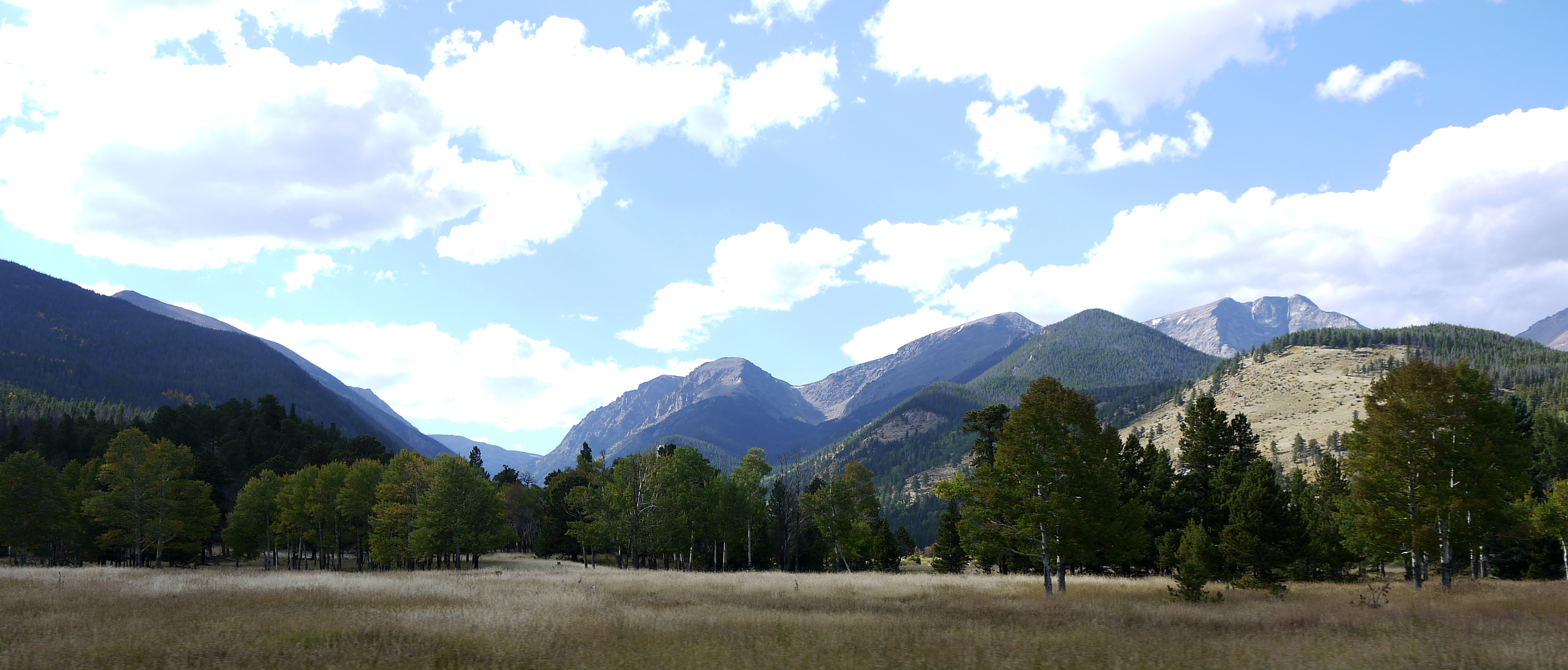 Meadow, Rocky Mountain National Park