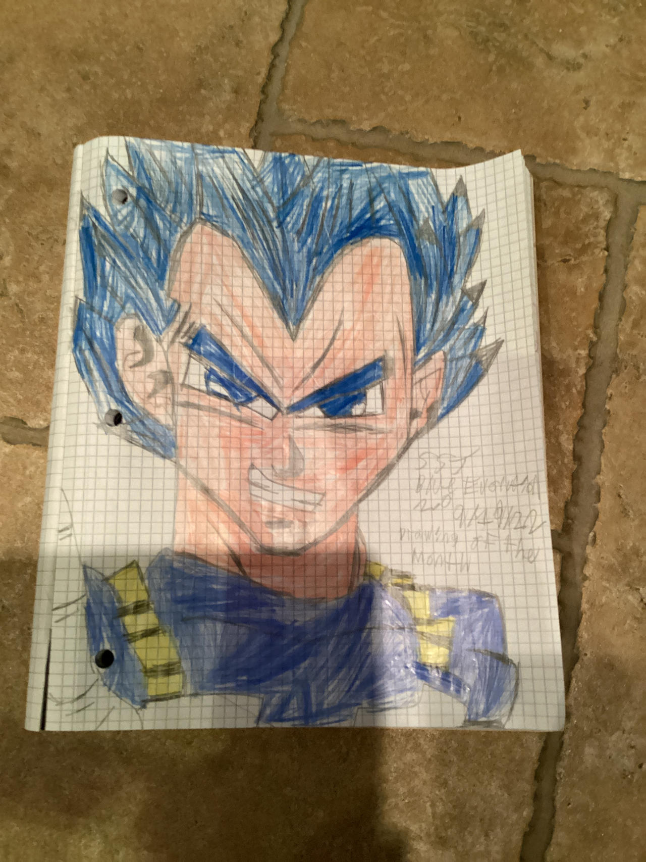 Vegeta SSJ Blue Evolution by SilverGamingSweatYT on DeviantArt