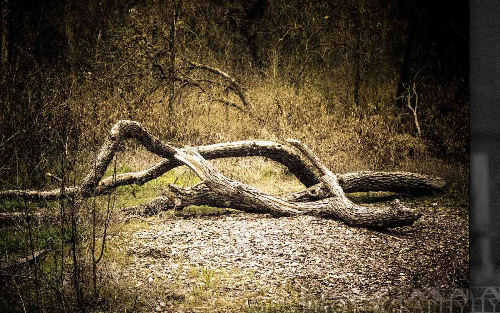 Desolation by TheBK87 on DeviantArt