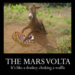 Donkey choking a waffle