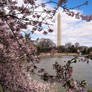 Washington Monument