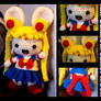 She is the one...Sailor Moon