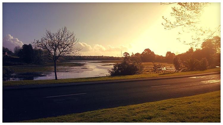 Pahurehure Inlet - NZ