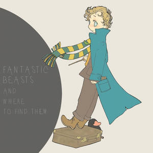 FANTASTIC BEASTS AND WHERE TO FIND THEM 01