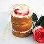 Rose Cake 2