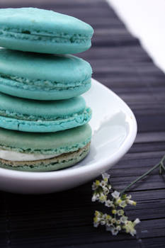 French Macarons 4