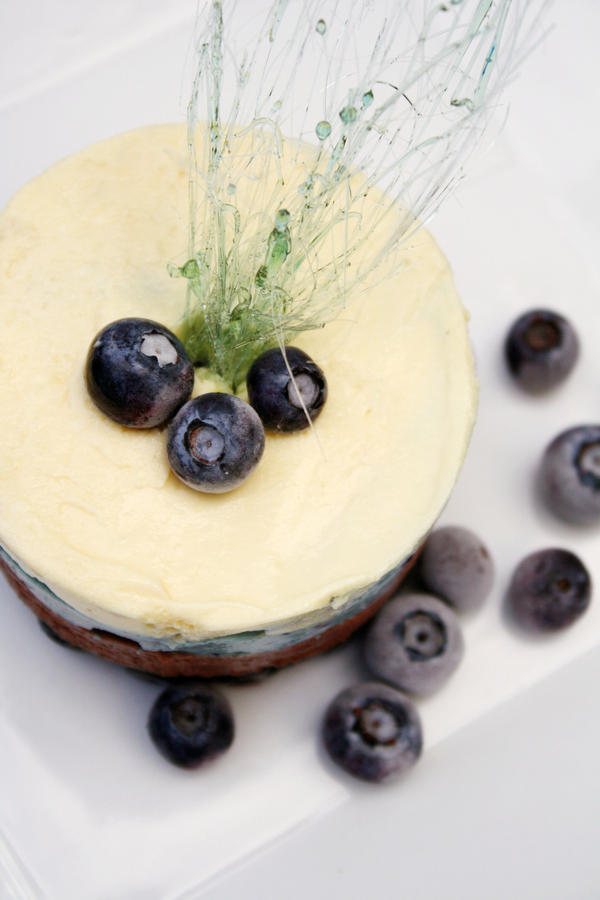 Blueberry Mousse 9