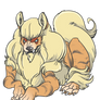 Arcanine Design