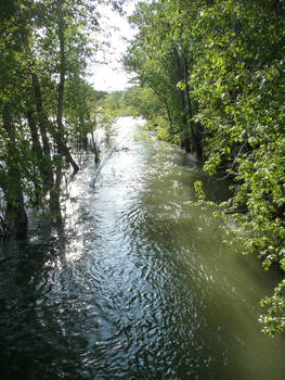 Boise River 1