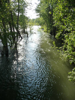 Boise River 2