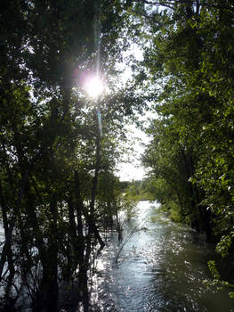 Boise River 3