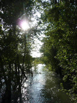 Boise River 4