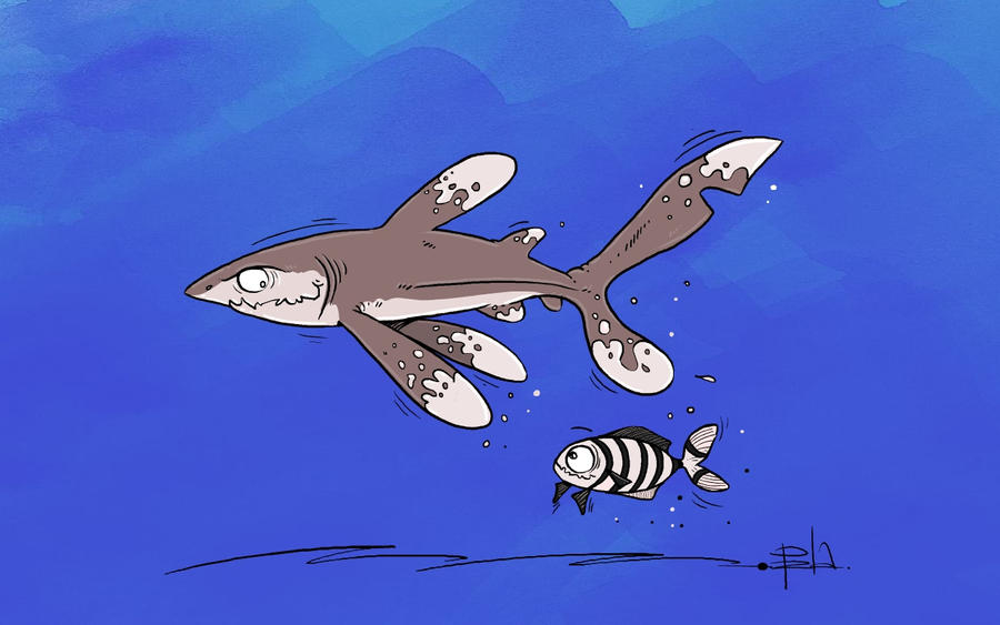 Oceanic Whitetip