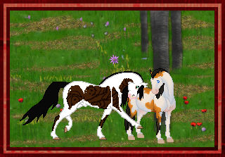 Liquid Smoke Breeding 2