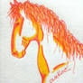 cheval sharpie de couleur par Punkee 