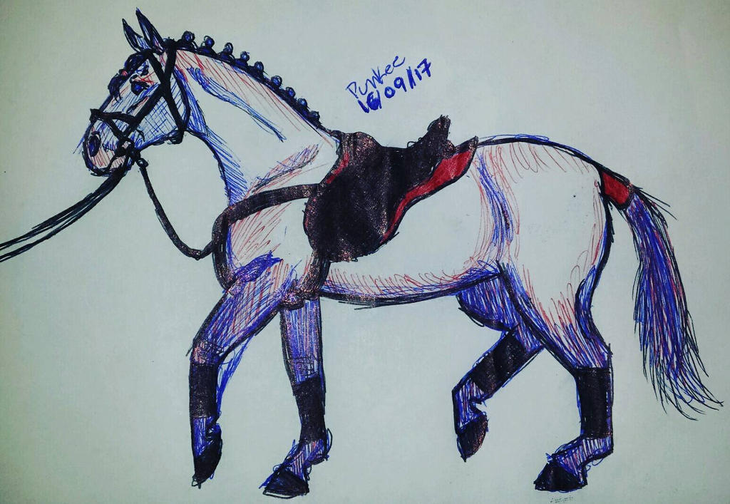 cheval au bic par Punkee 