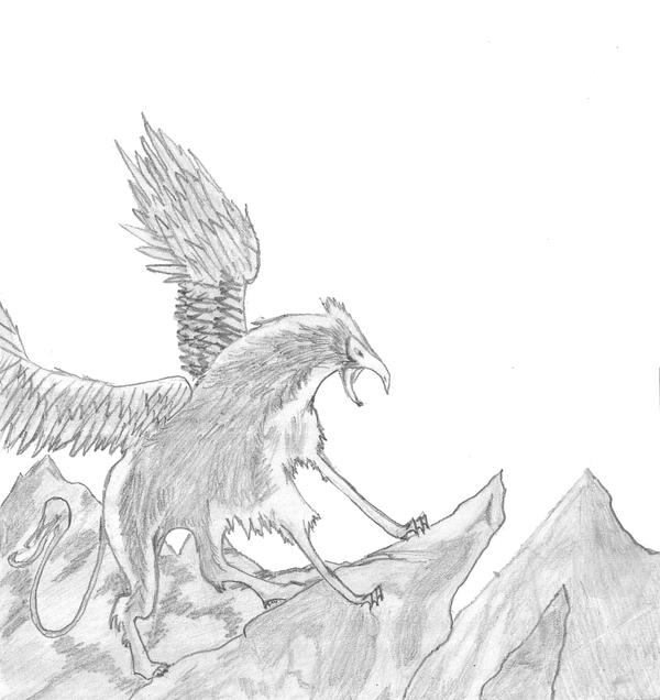 Griffin - Pencil by Latareus on DeviantArt