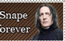 Severus Stamp3