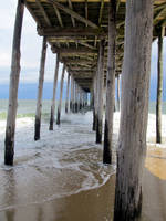 A Walk Under the Pier