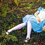 Alice - Dreaming of Wonderland