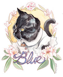 Pet Portraits: Blue