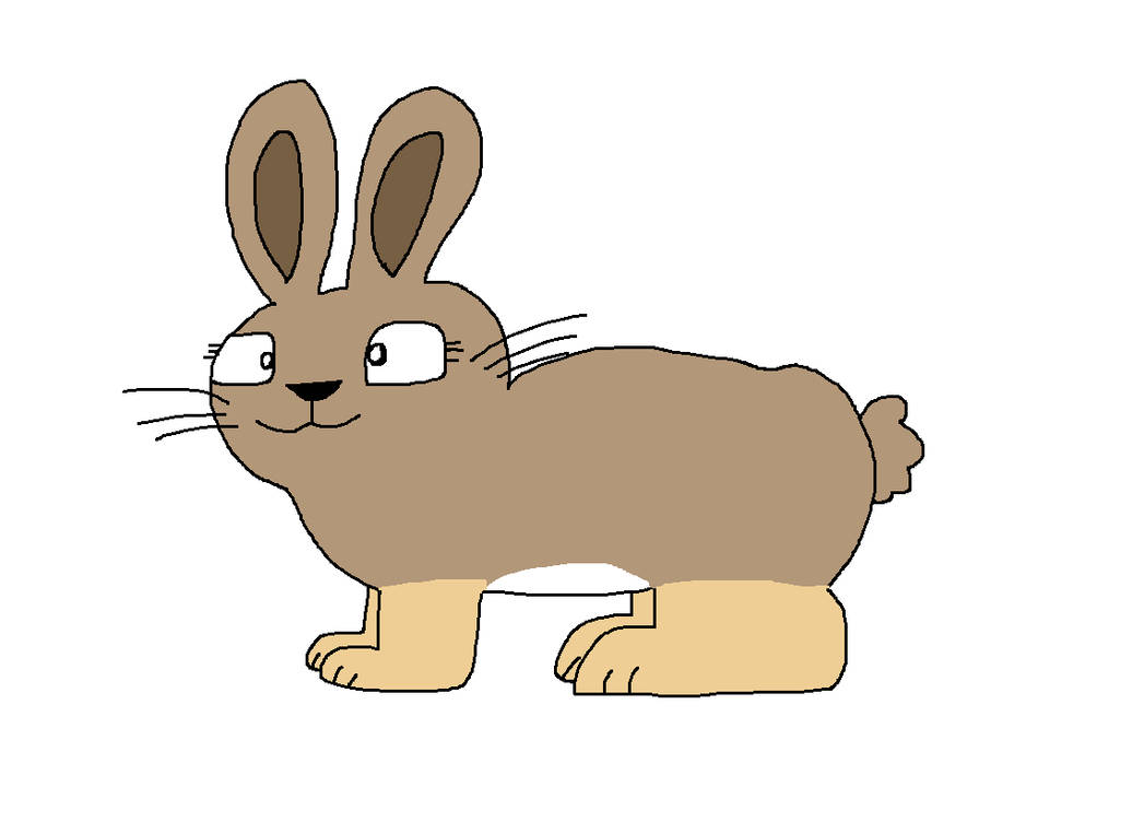 Pygmy Rabbit Furry Pygmy Rabbit Virgo by ChloeDH1001 on DeviantArt