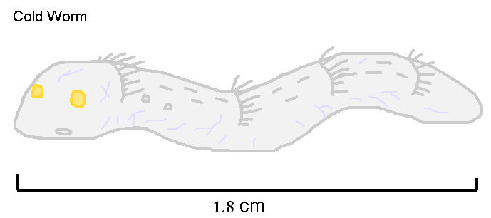 Cold Worm Cold Worm by PkmnOriginsProject on DeviantArt