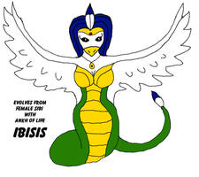 Ibisis