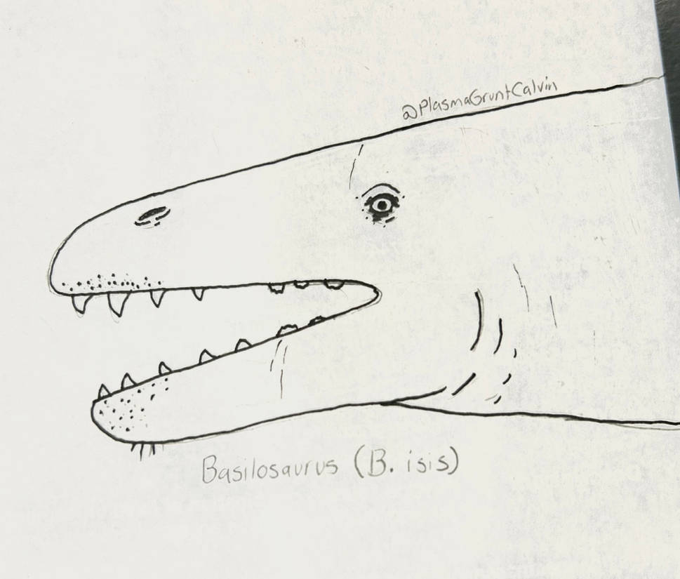 Basilosaurus Deviantart Basilosaurus by PlasmaGruntCalvin on DeviantArt