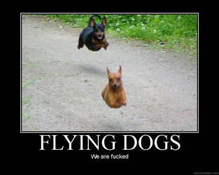 Flying Dogs - With Motivation